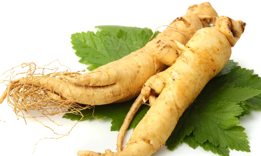 5 Khasiat Gingseng Untuk Kesehatan Tubuh, Apa Saja?