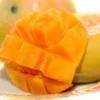 5 Manfaat Buah Mangga Untuk Kesehatan Yang Wajib Diketahui