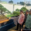 Pameran dan Kontes Bonsai Tingkat Nasional di Subang Sedot Perhatian Masyarakat, Ada Bonsai Seharga Pajero