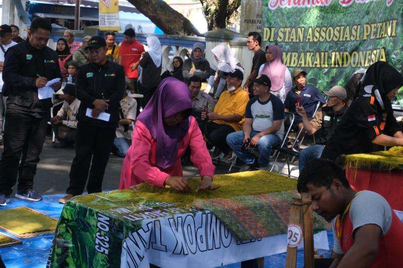 Lomba Ngarajang, Jaga Tradisi Perajang Tembakau