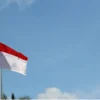 Contoh Proposal 17 Agustus 2023 PDF dan DOC, Foto Bendera Merah Putih via Unsplash-Nick Agus Arya