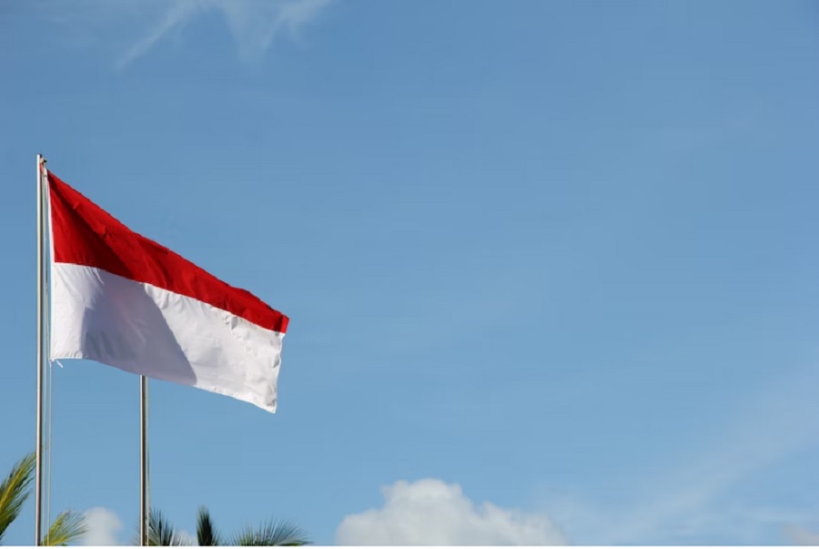 Contoh Proposal 17 Agustus 2023 PDF dan DOC, Foto Bendera Merah Putih via Unsplash-Nick Agus Arya