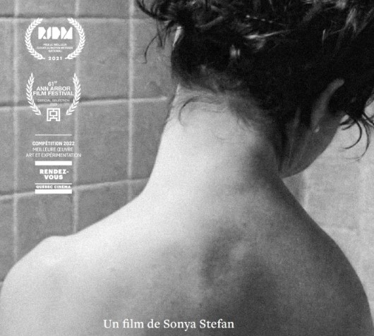 Film Skin Like Sun 2009