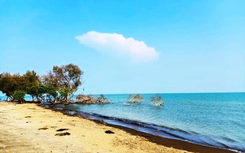 Pantai di Subang Jawa Barat Yang Punya Vibes Nusa Penida Beach