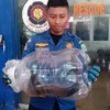 Tujuh Warga Subang Terkena Gigitan Ular, Mereka Berhasil Selamat Usai Mendapat Penanganan Medis 