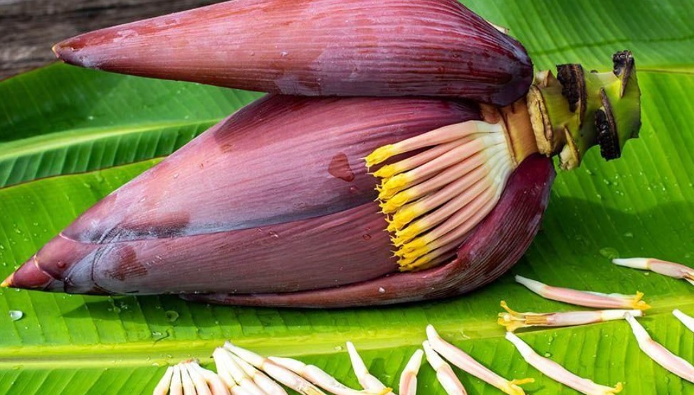 12 Manfaat Jantung Pisang Untuk Kesehatan