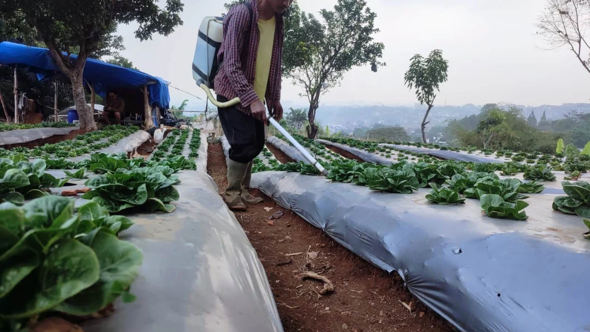 Petani dan Peternak