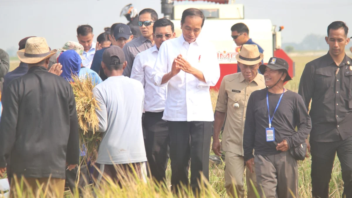 Hadiri Panen Raya di Subang, Jokowi: Panen Raya Bisa Menambah Cadangan Beras Nasional