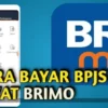 Cara Membayar BPJS Lewat BRIMO