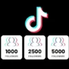 Cara Cepat Mendapatkan 1000 Follower TikTok untuk Pemula