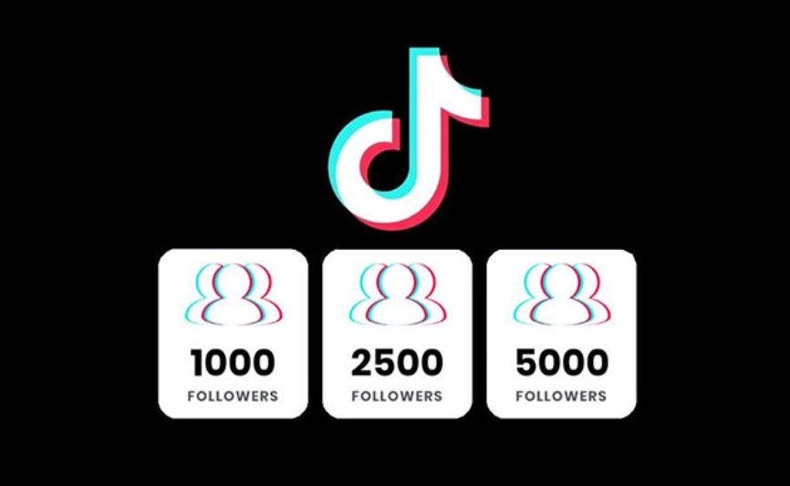 Cara Cepat Mendapatkan 1000 Follower TikTok untuk Pemula