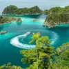 Raja Ampat: Keajaiban Bawah Laut Indonesia yang Memukau