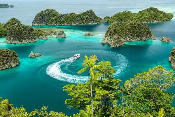 Raja Ampat: Keajaiban Bawah Laut Indonesia yang Memukau