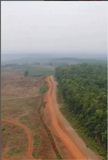 Warga Subang Tak Sabar Ingin Gunakan Jalan Cipeundeuy-Serangpanjang, Saat Ini Tengah Proses Pembukaan Jalan Tahap Kedua