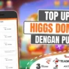 Beli Chip Higgs Domino Murah Via Pulsa