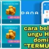 Beli Chip Higgs Domino Murah Via DANA