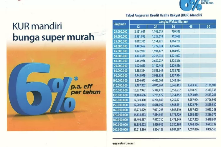 Pinjaman Online Bank Mandiri Langsung Cair