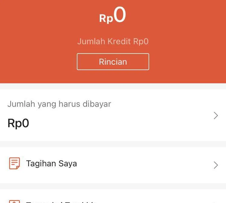 Pinjaman Online Ilegal Langsung Cair