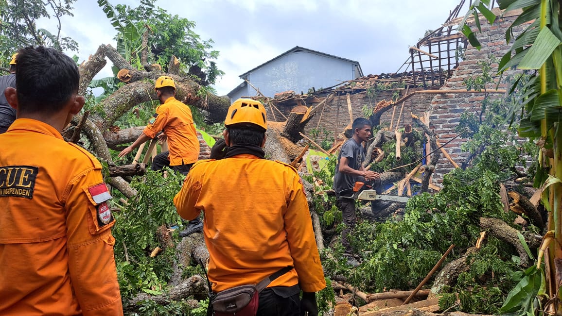 Pohon Tumbang Menimpa Rumah Lansia di Desa Rancajaya Patokbeusi Subang