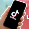 Simpan Video TikTok Tanpa Watermark