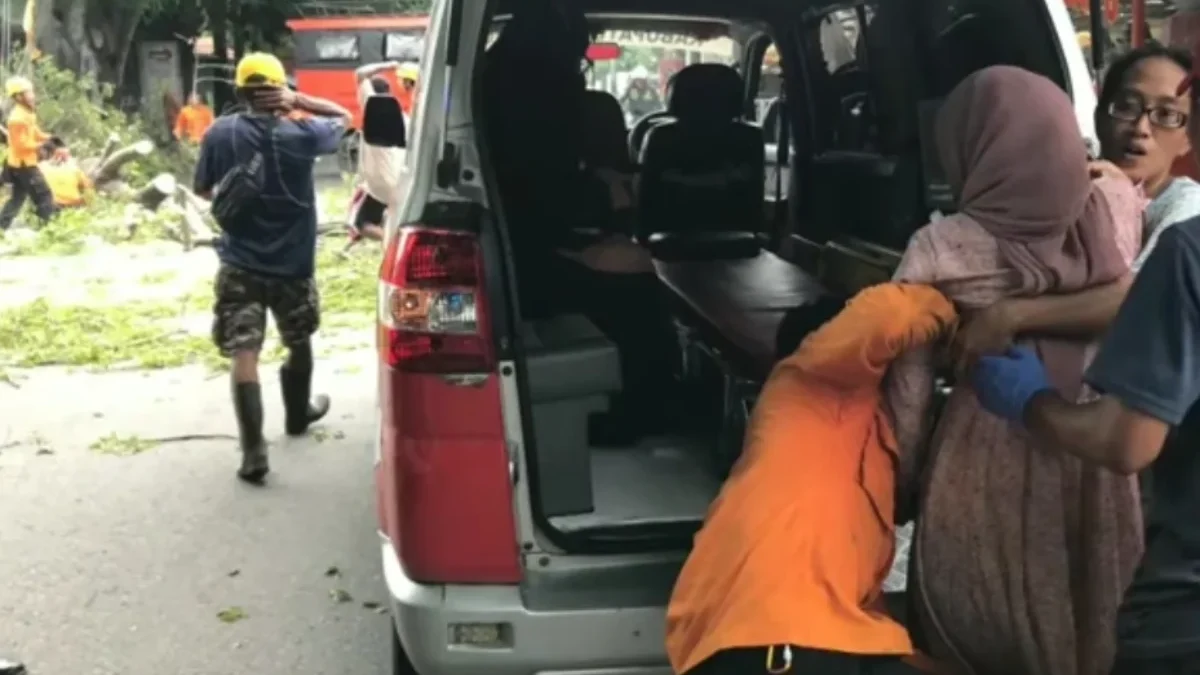 Tak Ada Hujan Tak Ada Angin, Pohon Tumbang Kembali Terjadi di S Parman Subang, 2 Orang Luka-luka Pohon tumbang subang
