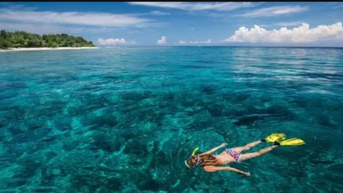 Tempat Wisata Subang yang Menyegarkan dan Seru untuk Dikunjungi