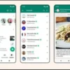 6 Cara Terbaru Menggunakan WhatsApp dengan Nomor yang Hilang