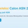 Seleksi CPNS 2024 Dimulai, Inilah Yang Perlu Kamu Ketahui