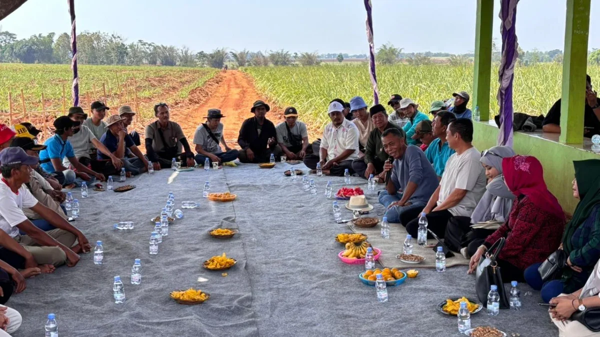 Kang Jimat Dialog dengan Petani Tebu Purwadadi, Komitmen untuk Sertifikasi Tanah dan Dukungan untuk Pilkada 20