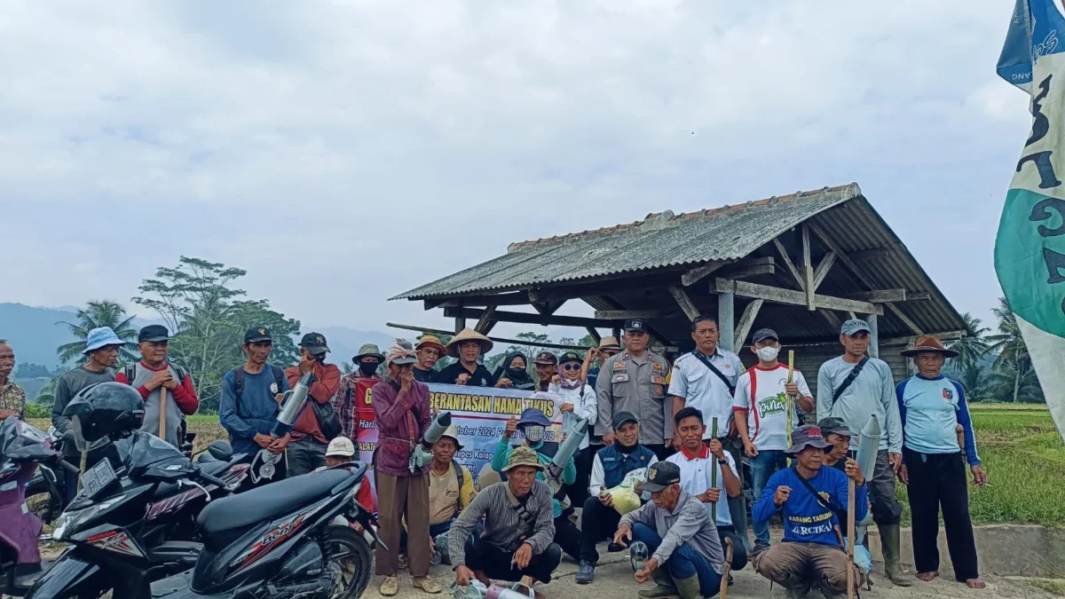 200 Warga Desa Bojongloa Bersama Pemerintah Kasomalang dan UPTD Pertanian Gelar Gropyokan Tikus