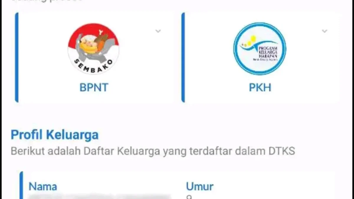 Cara Mudah Cek Bansos di HP! Begini Langkahnya dengan Aplikasi Cek Bansos