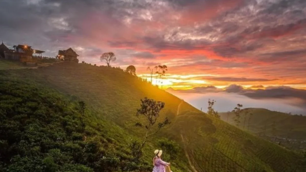 Mau Healing? 7 Tempat Wisata Akhir Tahun di Jawa Barat Ini Paling Viral!