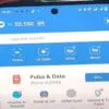 Cara Pinjam Saldo DANA 50 Ribu Tanpa KTP