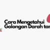4 Cara Mengetahui Golongan Darah tanpa Tes dengan Mudah dan Cepat