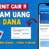 Pinjam Uang Rp50 Ribu di Aplikasi DANA Tanpa KTP