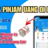 Pinjam Saldo DANA 100 Ribu 5 Menit Langsung Cair
