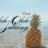 Oleh-Oleh Khas Subang yang Viral dan Populer, Sisihkan Ruang di Dalam Tas Kamu!