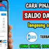 Pinjam Saldo DANA 800 Ribu Langsung Cair