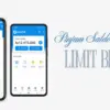 Cara Pinjam Saldo DANA Limit Besar tanpa Proses Ribet
