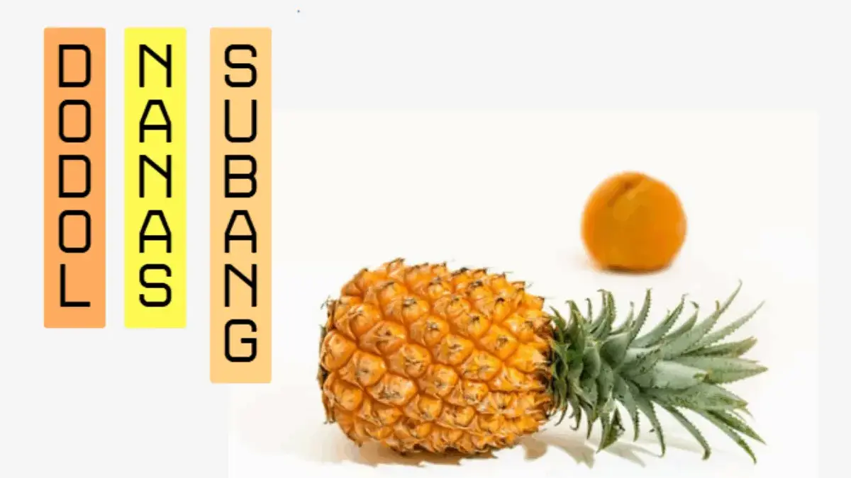 Tempat Beli Dodol Nanas di Subang, Oleh-Oleh Wajib saat Liburan!