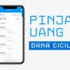 Cara Pinjam Uang Lewat DANA Cicil, Dijamin Cepat dan Mudah!