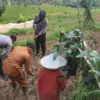 polsek plered purwakarta