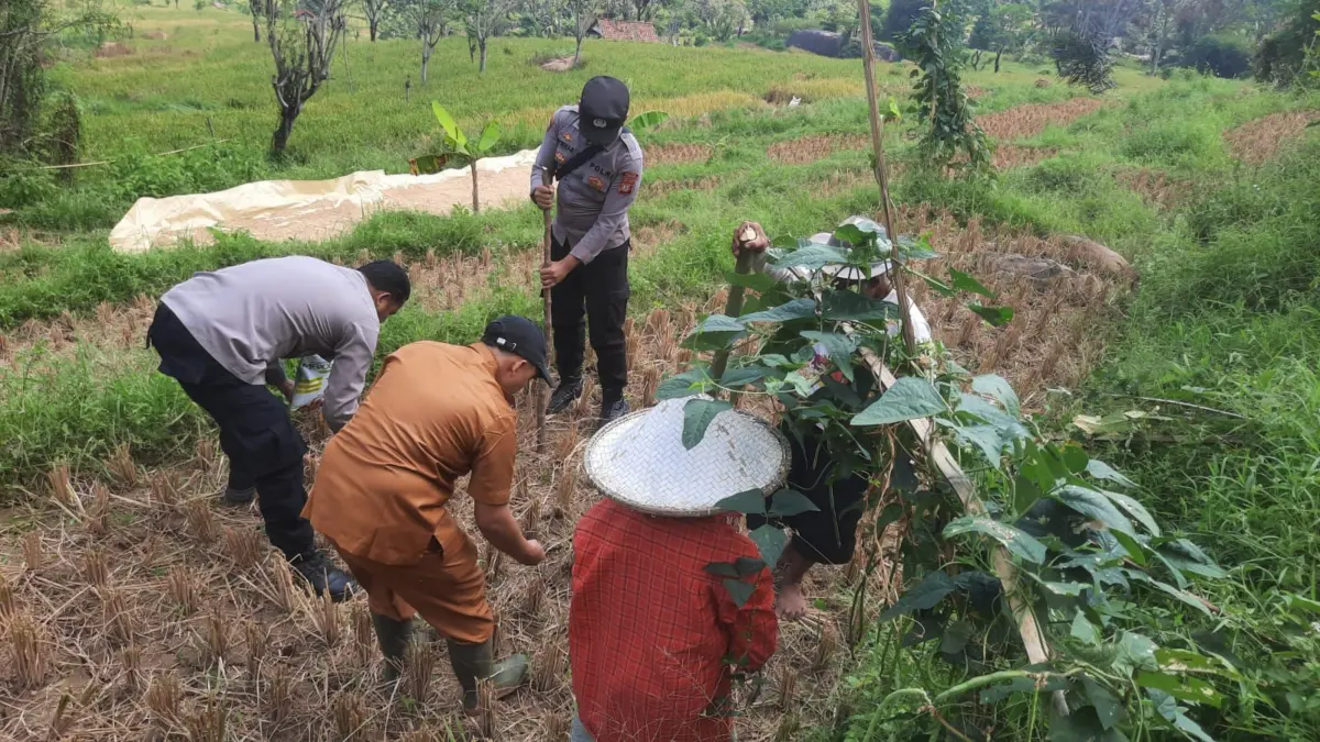 polsek plered purwakarta