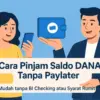5 Rekomendasi Pinjam Saldo DANA Tanpa BI Checking, Cocok Buat Kamu yang Lagi Kepepet!