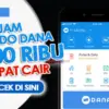 Cara Pinjam Saldo DANA Rp100.000 dengan Cepat dan Aman