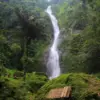 Bikin Liburan Makin Segar! Ini Daftar Curug Hits di Subang Tahun 2025 yang Wajib Didatangi