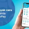 Mau Dapat Pinjaman dari GoPay Pakai BPKB? Ini Detail Limit dan Syaratnya!