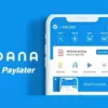 Mau Pinjam Saldo DANA 100 Ribu Tanpa Install Aplikasi Tambahan? Ini Solusinya!
