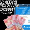 Pinjam Saldo DANA Langsung Cair 100 Ribu Tanpa KTP