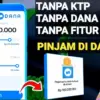Cara Pinjam Saldo DANA 300 Ribu Tanpa KTP